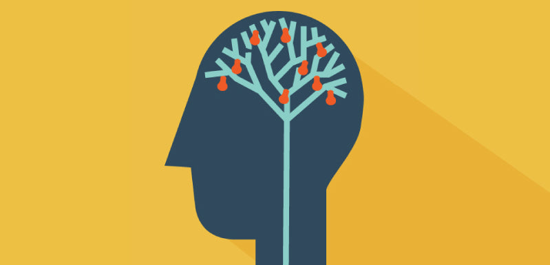 From Stress To Success: Prioritizing Student Mental Health