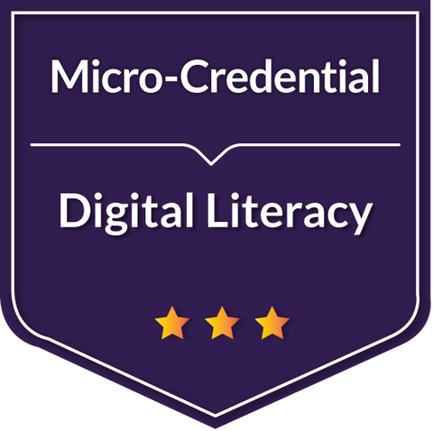 Digital Literacy: Navigate, Communicate & Protect Your Online Identity