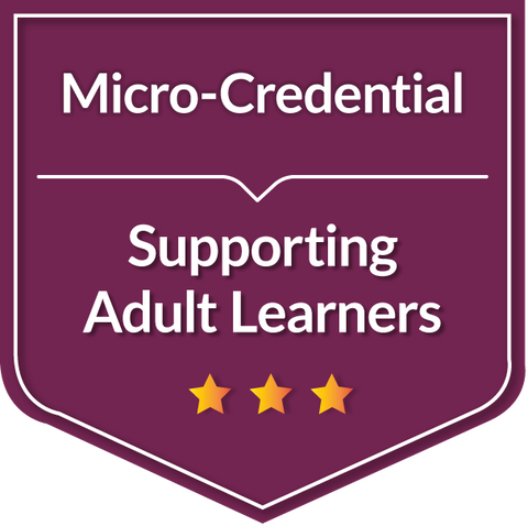 Supporting Non-Traditional Students: Innovative Practices For Adult Learner Outcomes