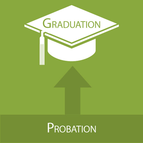 probation to graduation icon