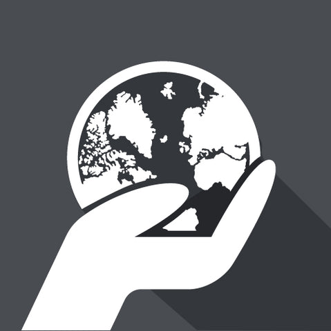 a hand holding the earth icon