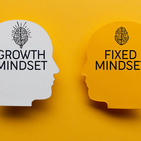 Two head silhouettes with 'Growth Mindset' and 'Fixed Mindset' text on a yellow background
