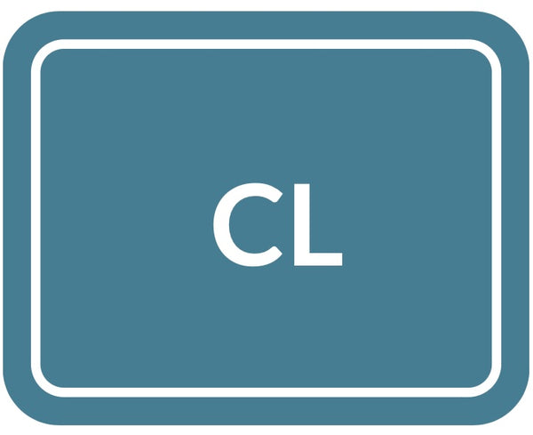 CollegeLingo® Workshops: Grade 12