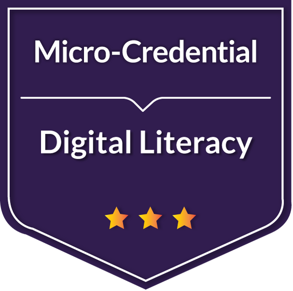 Digital Literacy: Navigate, Communicate & Protect Your Online Identity