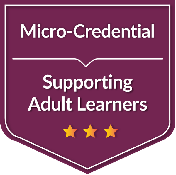 Supporting Non-Traditional Students: Innovative Practices For Adult Learner Outcomes