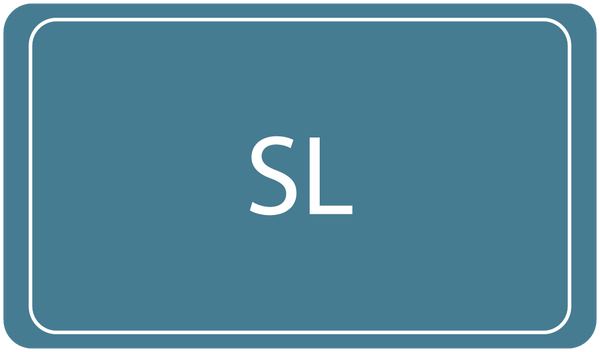 SLNow: Supporting Student Success & Wellness