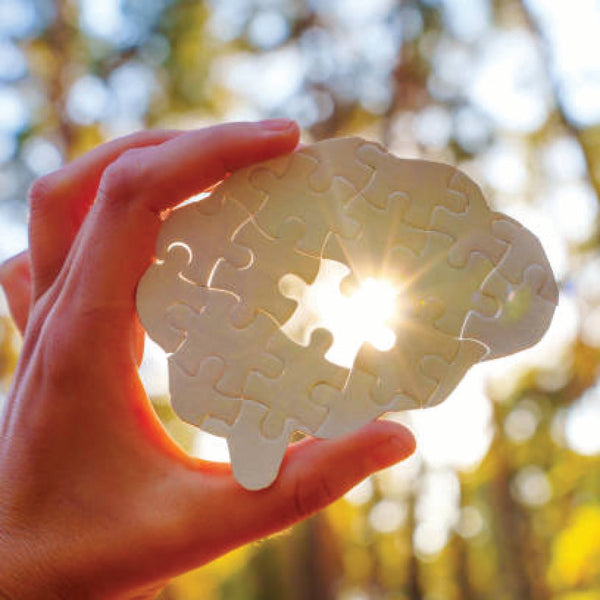 A hand holds a brain-shaped puzzle with a missing piece, with sunlight shining through the gap against a blurred outdoor background.