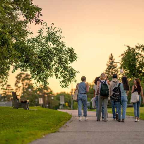 Group of people walking on a path in a park at sunset