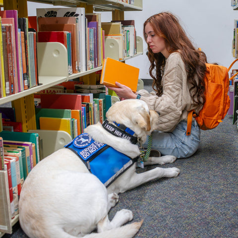 Woman with a dog in a library setting, surrounded by books.