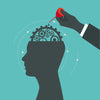 Enhance Tutor Training Sessions Using The 5 Key Theories Of Intelligence